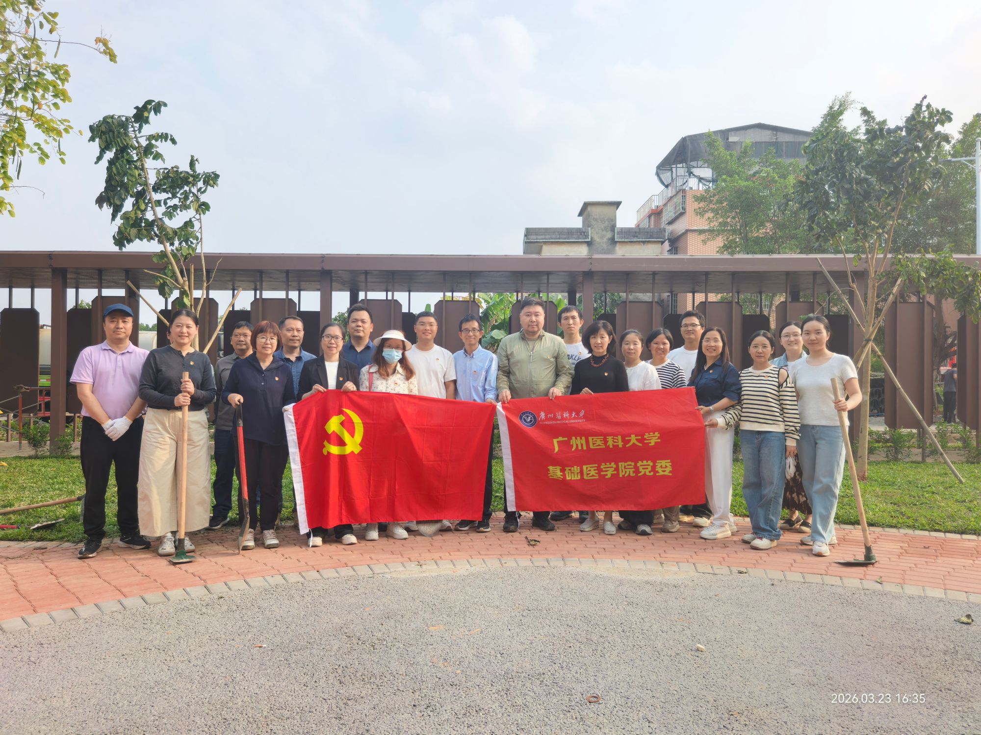 携手栽新苗，党旗迎风飘——公司党委开展义务植树活动